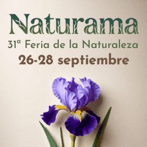 publicidad