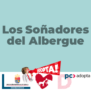publicidad
