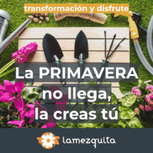 publicidad
