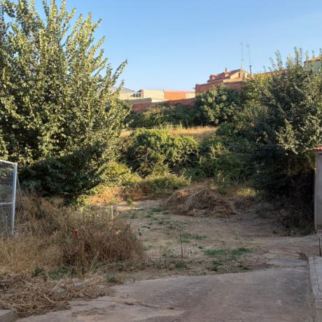 El PP de Villarta reclama a la CHJ un plan urgente para limpiar los cauces de los ríos