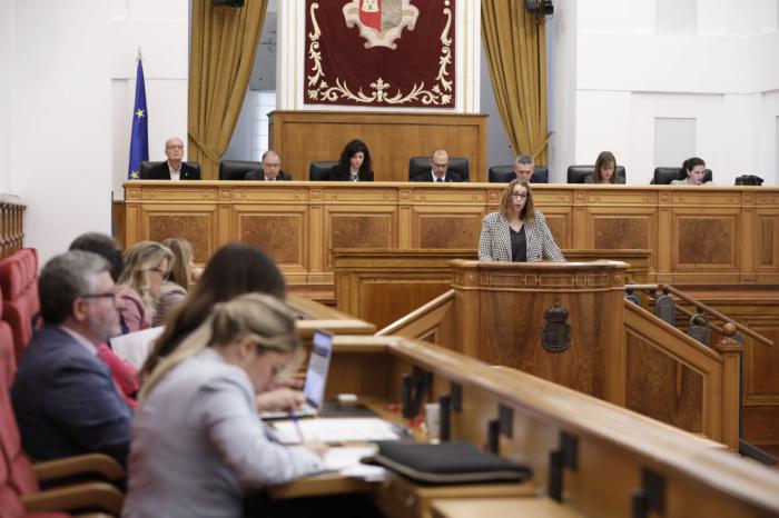 El Pleno aprueba solo con los votos del PSOE la resolución de la Ley contra la violencia de género