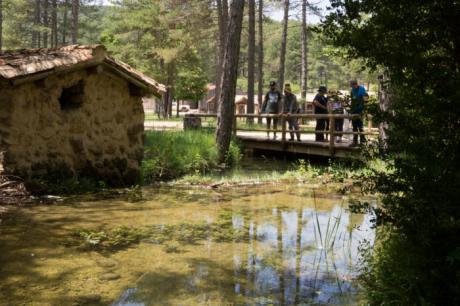 Abierto el plazo de inscripción para las IV Jornadas Entomológicas de la Serranía de Cuenca, que se celebrarán en Tejadillos del 19 al 21 de junio