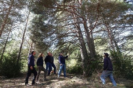 Vega del Codorno obtendrá ingresos durante los próximos 30 años por conservar un bosque antiguo