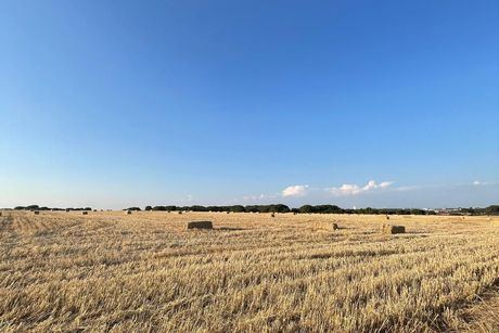 El PP de Cuenca acusa a la Junta de "regalar" más de 500 hectáreas de tierras públicas a un empresario