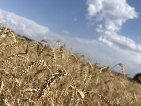 Retrasos y condiciones complican las ayudas para jóvenes agricultores en Cuenca
 