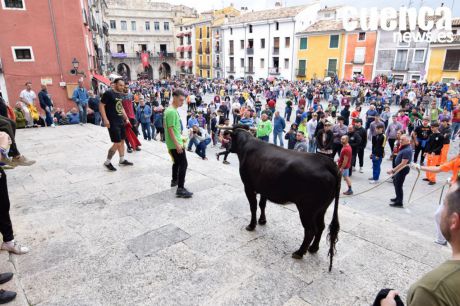 El Ayuntamiento de Cuenca contratará al menos 15 reses bravas para San Mateo 2025