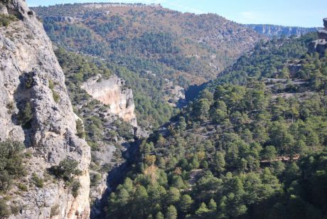 Rewilding Spain lanza ayudas para emprendedores en la Serranía de Cuenca vinculados a la renaturalización