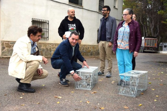 Uclés acoge el retorno de los gatos esterilizados dentro del plan provincial de colonias felinas