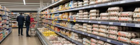 La gripe aviar dispara el coste de los alimentos básicos y preocupa a las familias