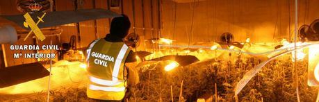 Descubren y desmantelan una plantación de marihuana en la casa del alcalde de Villar del Humo