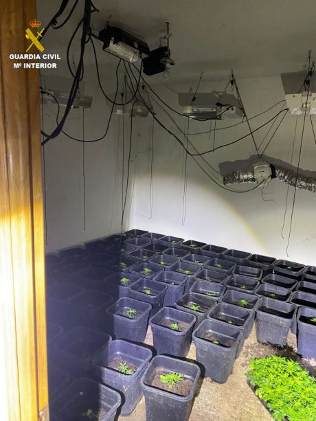 Detenido en Villar de Olalla un hombre implicado en cinco delitos, incluido cultivo de drogas