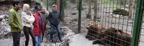 ‘El Hosquillo’ arranca la temporada 2026 con una pasarela para ver osos en semilibertad