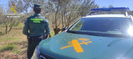 La Guardia Civil detiene a un hombre acusado de abatir a tiros a cinco perros