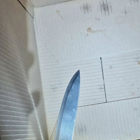 La Policía Local afronta una noche de máxima actividad con una detención y múltiples denuncias
