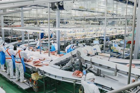 Las exportaciones de la provincia acumulan once meses consecutivos de descensos