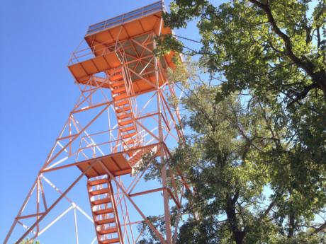 Ciudadanos pide al equipo de Gobierno que reconsidere su negativa a elaborar un plan municipal para la prevención de incendios forestales