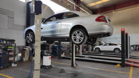 El tejido empresarial de Cuenca crece con 60 nuevas sociedades en dos meses