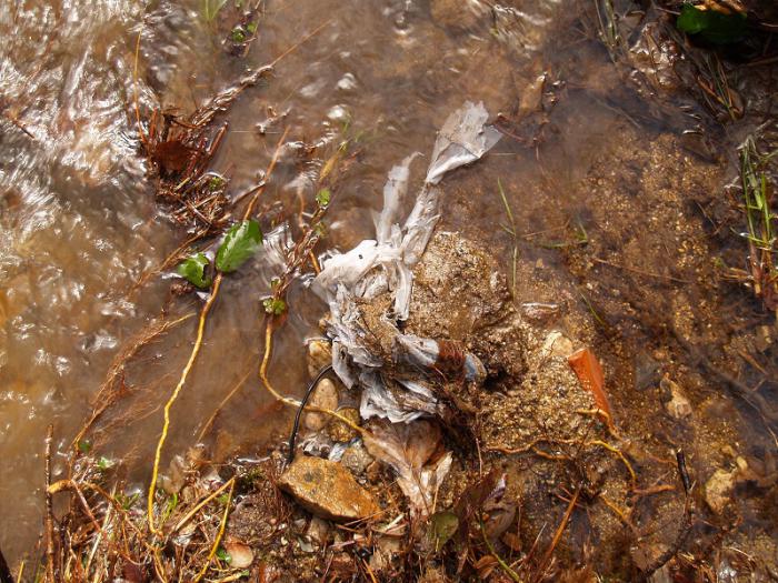 Castilla-La Mancha se moviliza para acabar con la basuraleza en sus entornos naturales