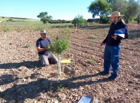 Más de 1.500 hectáreas de cultivo se han sumado ya a la Red de Custodia Agraria para la protección de la naturaleza castellanomanchega