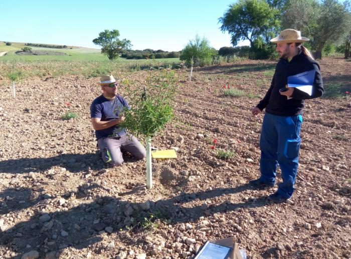 Más de 1.500 hectáreas de cultivo se han sumado ya a la Red de Custodia Agraria para la protección de la naturaleza castellanomanchega