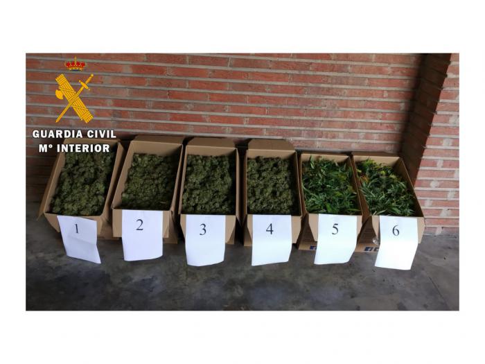 La Guardia Civil incauta 30 kilos de marihuana en Polán