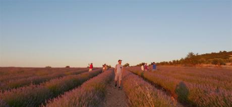 Del 4 al 31 de Julio de 2018 Cuenqueando organiza el LAVANDA`S TOUR