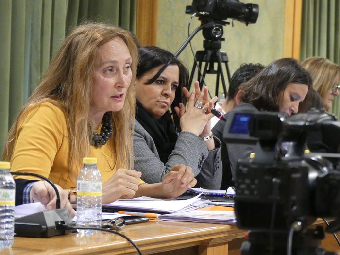 María Jesús Amores, portavoz de Cs en el Consistorio