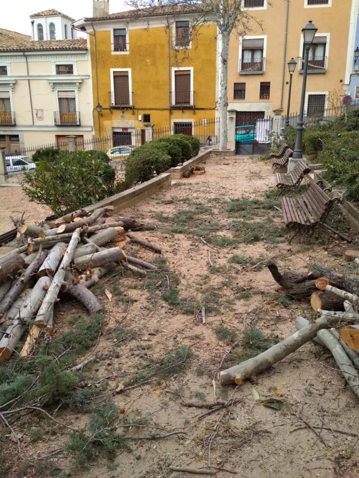 Ciudadanos lamenta la tala de árboles y la inactividad del Consejo de Medio Ambiente durante la legislatura