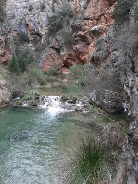 Adjudicado el proyecto de implantacio&#769;n de las medidas de gestio&#769;n de las reservas naturales fluviales en la cuenca del Ju&#769;car