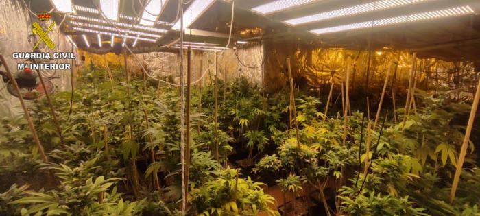 La Guardia Civil desmantela dos plantaciones de marihuana “indoor” en Torrejón del Rey y en Uceda