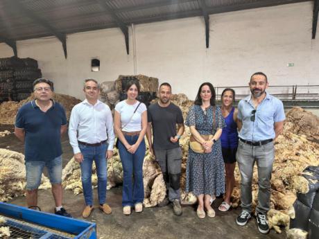Mota del Cuervo, referente nacional en el sector lanero con Mantexman y WoolDreamers
