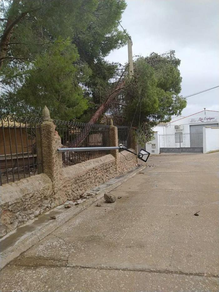 Las caídas de ramas y cornisas por el fuerte viento causan fuertes destrozos en Castejón 