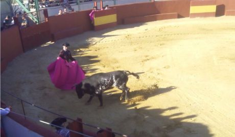 El novillero Sergio López, cogido sin gravedad en la Plaza de Toros de Altarejos