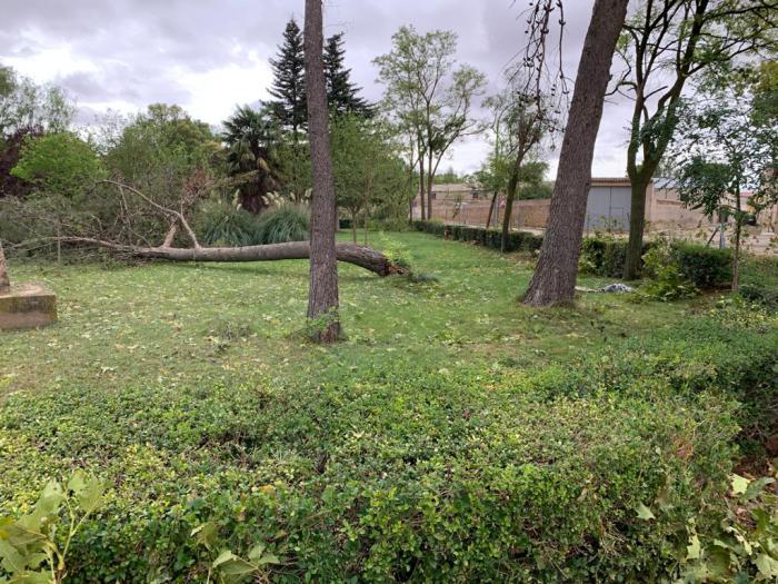 Escudero conoce los efectos de la fuerte tormenta en Santa María del Campo Rus y traslada el apoyo de las instituciones