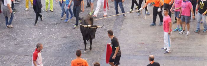 Video | Ambiente, vaquilla y desfile de peñas