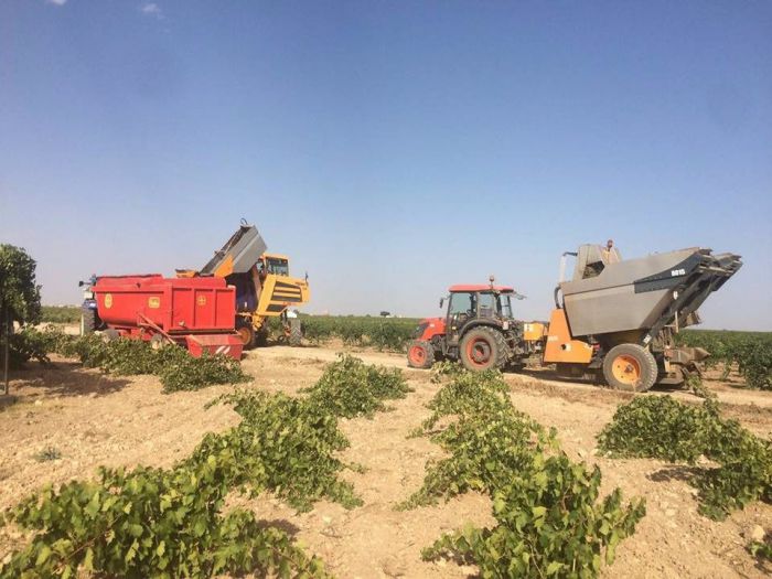 Se pide al Ministerio de Agricultura que favorezca a los jóvenes agricultores en las ayudas de la PAC