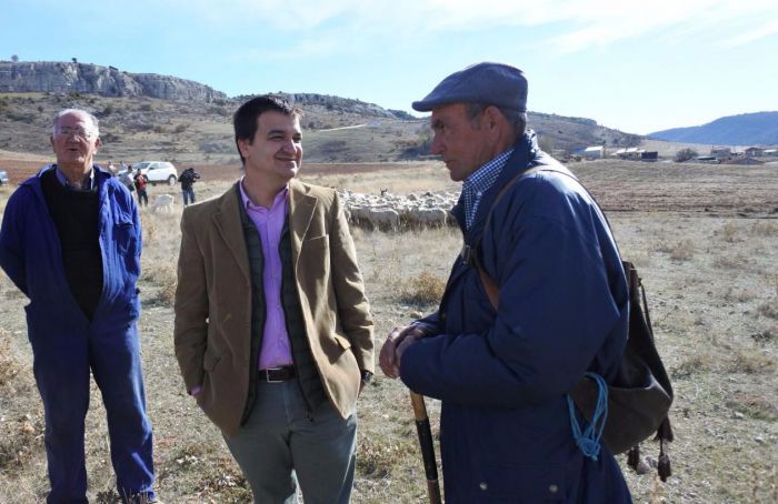 Castilla-La Mancha anuncia un millón de euros de ayuda a los ganaderos de extensivo a través de la línea de la ‘oveja bombera’
