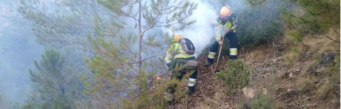 Se invierten 206.000 euros para restaurar la zona del incendio de Campillo de Altobuey