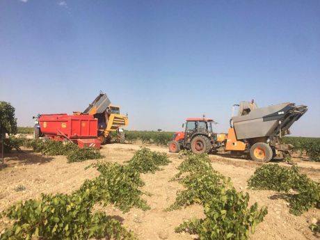 Telefónica impulsará la digitalización del sector agrícola con el proyecto Visual Green