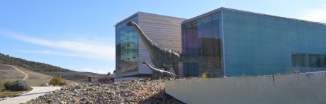 Mañana se inaugura la tercera fase del Museo de Paleontología