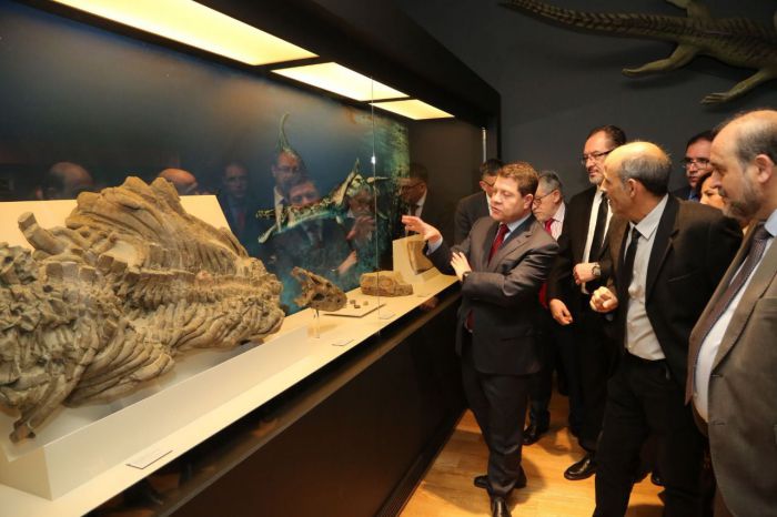 El Museo Paleontológico se convierte, tras su remodelación, en espacio museístico de referencia a escala nacional y europea