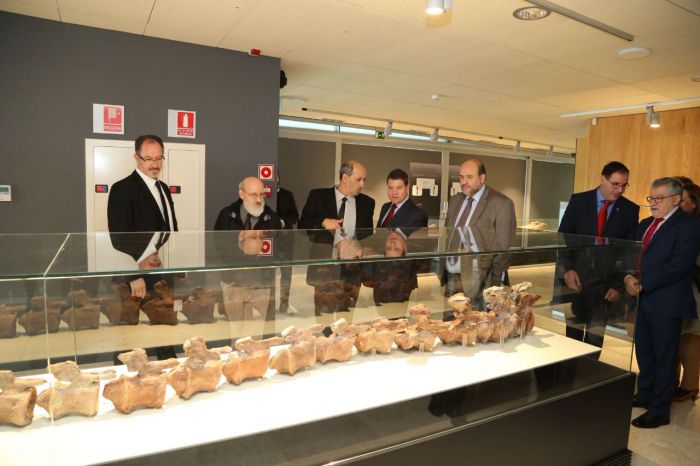 El Museo de Paleontología acogerá un Centro de Investigación sobre Paleontología