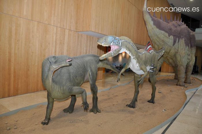 El renovado Museo de Paleontología ha recibido 47 reservas de centros educativos de Castilla-La Mancha, Madrid y la Comunidad Valenciana