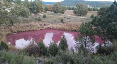 Una laguna de Cañada de Hoyo adquiere un color rojizo por un fenómeno natural