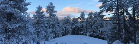 La nieve pone en alerta a la provincia