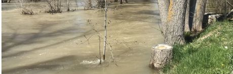 El río Júcar se desborda en varias zonas en la provincia