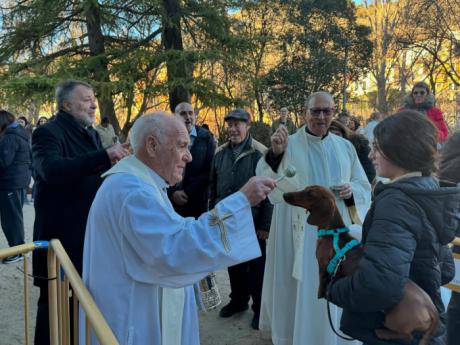 Cuenca celebra San Antón con procesión, bendición de animales y el reparto de 22.000 panecillos