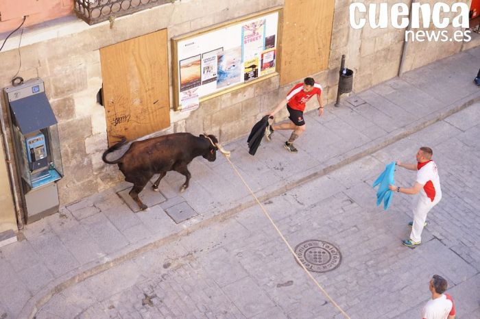 VIDEO | Exhibición taurina de vacas enmaromadas del Congreso del Toro de Cuerda