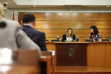 Las 54 comparecencias en la ‘Comisión de estudio sobre despoblación’ arrancan en febrero