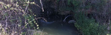 Ciudadanos insiste en su petición para que se depuren las aguas residuales de las pedanías